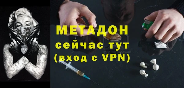 прущие грибы Аркадак
