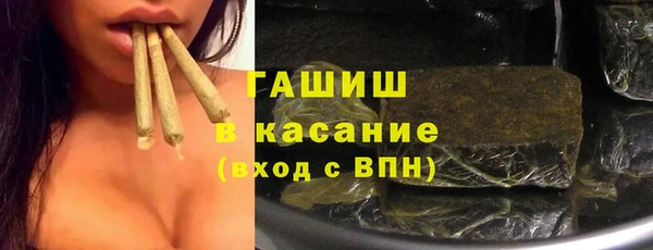 прущие грибы Аркадак