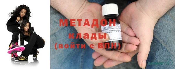 прущие грибы Аркадак
