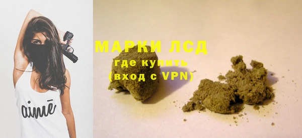 прущие грибы Аркадак