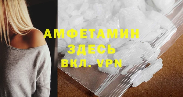 прущие грибы Аркадак
