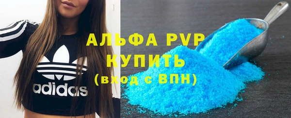 прущие грибы Аркадак